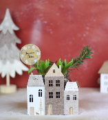 NOËL - Décoration avec jacinthe