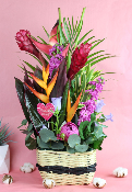 Fête des Mères - Composition de fleurs exotiques
