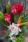 Fête des Mères - Composition de fleurs exotiques