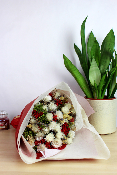 MÉLANIE - Bouquet de fleurs séchées 
