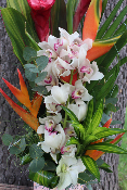 Fête des Mères - Composition de fleurs exotiques